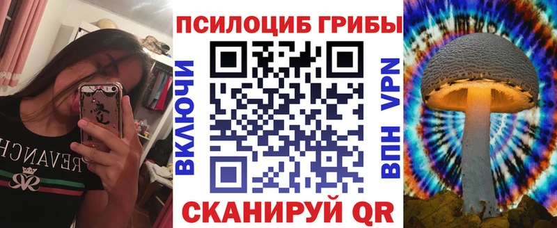 где можно купить наркотик  Заринск  hydra зеркало  Галлюциногенные грибы прущие грибы 