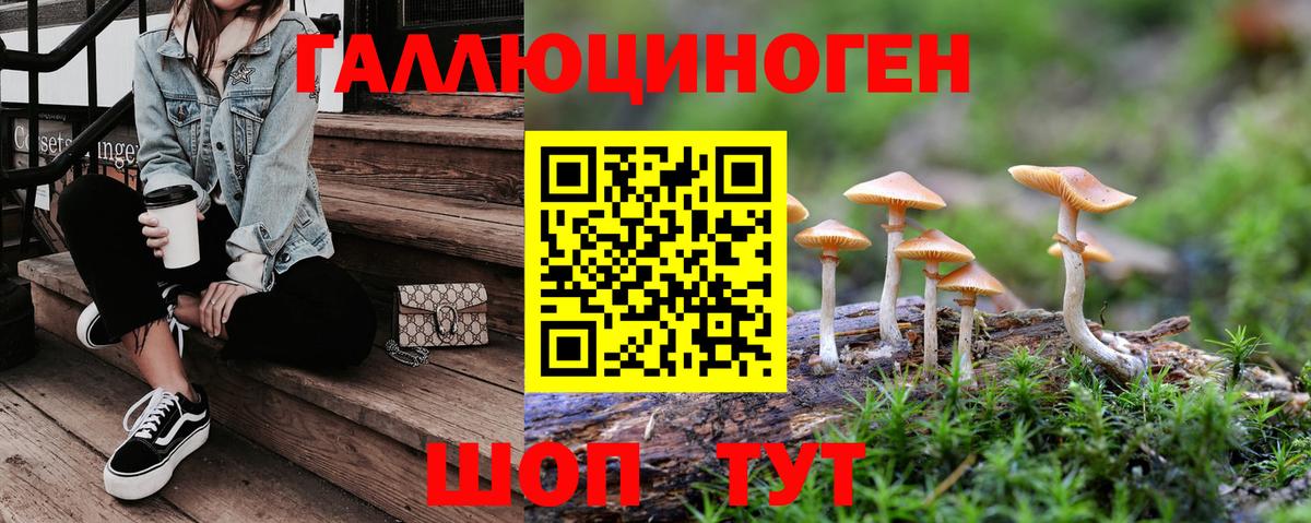 Галлюциногенные грибы Cubensis Заринск