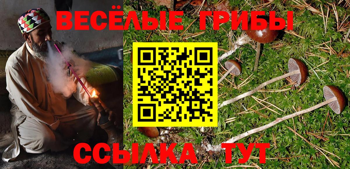 Псилоцибиновые грибы мухоморы  Вход с VPN  Заринск  Галлюциногенные грибы Psilocybine cubensis 