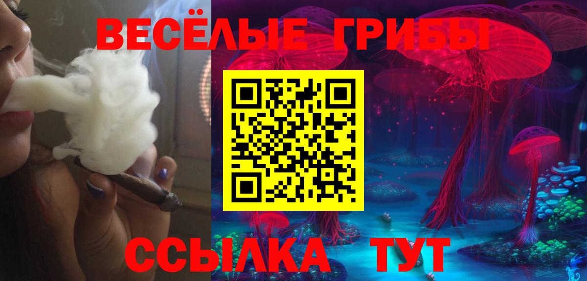 Галлюциногенные грибы Magic Shrooms  как найти закладки  Заринск 